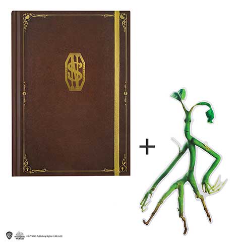 HARRY POTTER: NOTEBOOK E SEGNALIBRO HARRY POTTER - NEWT SCAMANDER